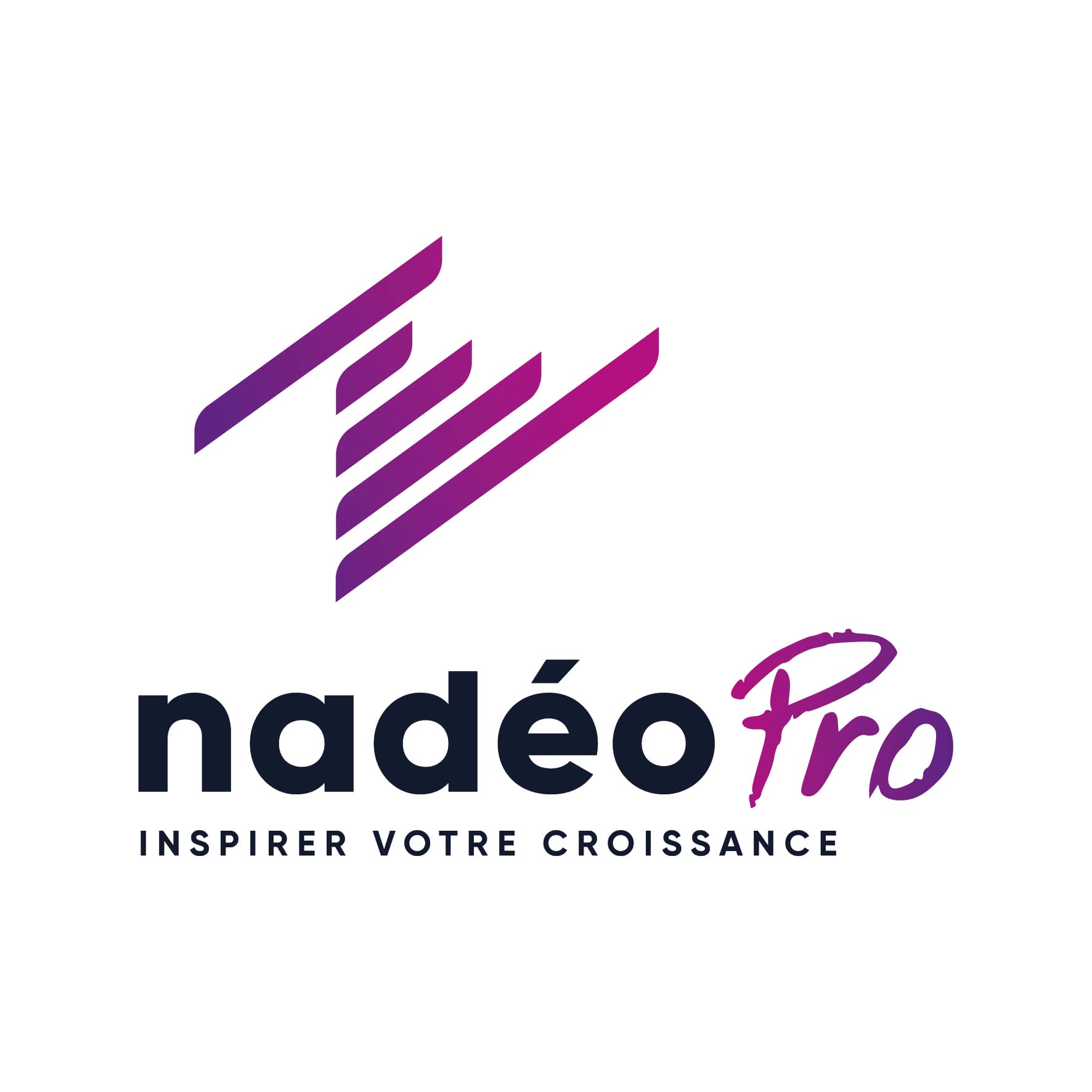 logo organisme de formation professionnelle restauration à Carcassonne - NadéoPro